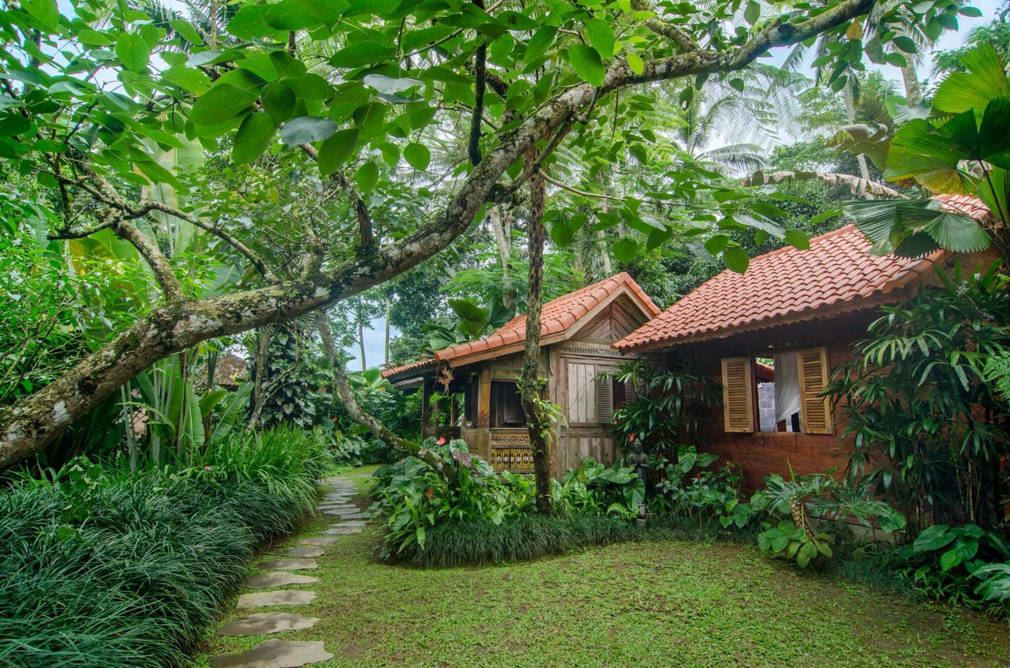 Bed and Breakfast Dewi Tara Haven Ґіаньяр Номер фото