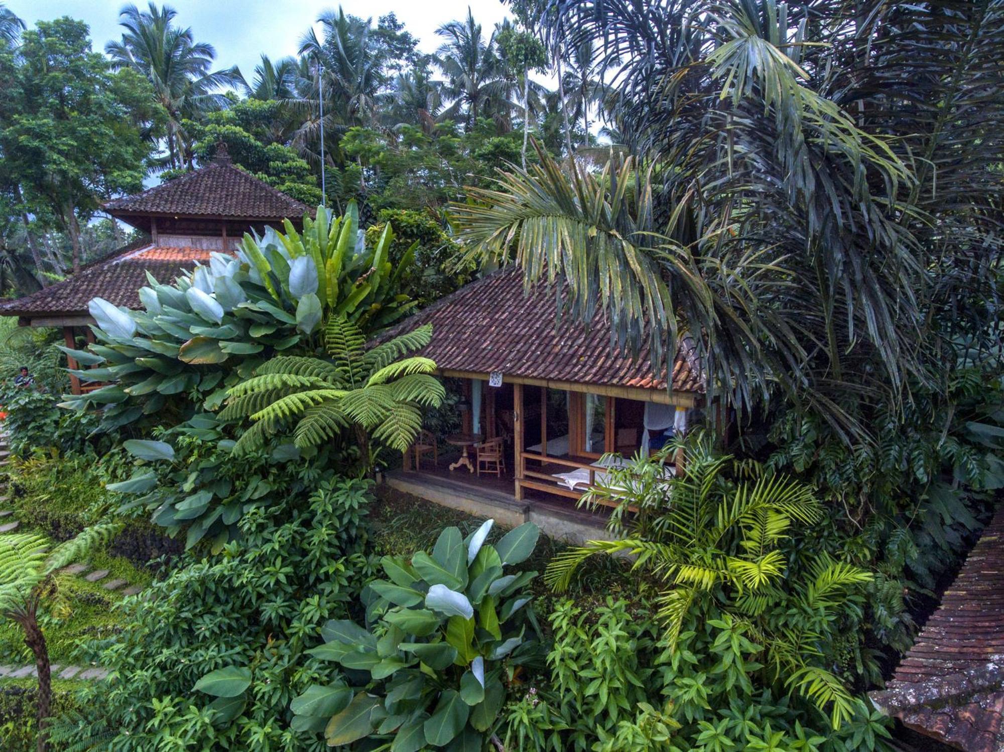 Bed and Breakfast Dewi Tara Haven Ґіаньяр Номер фото