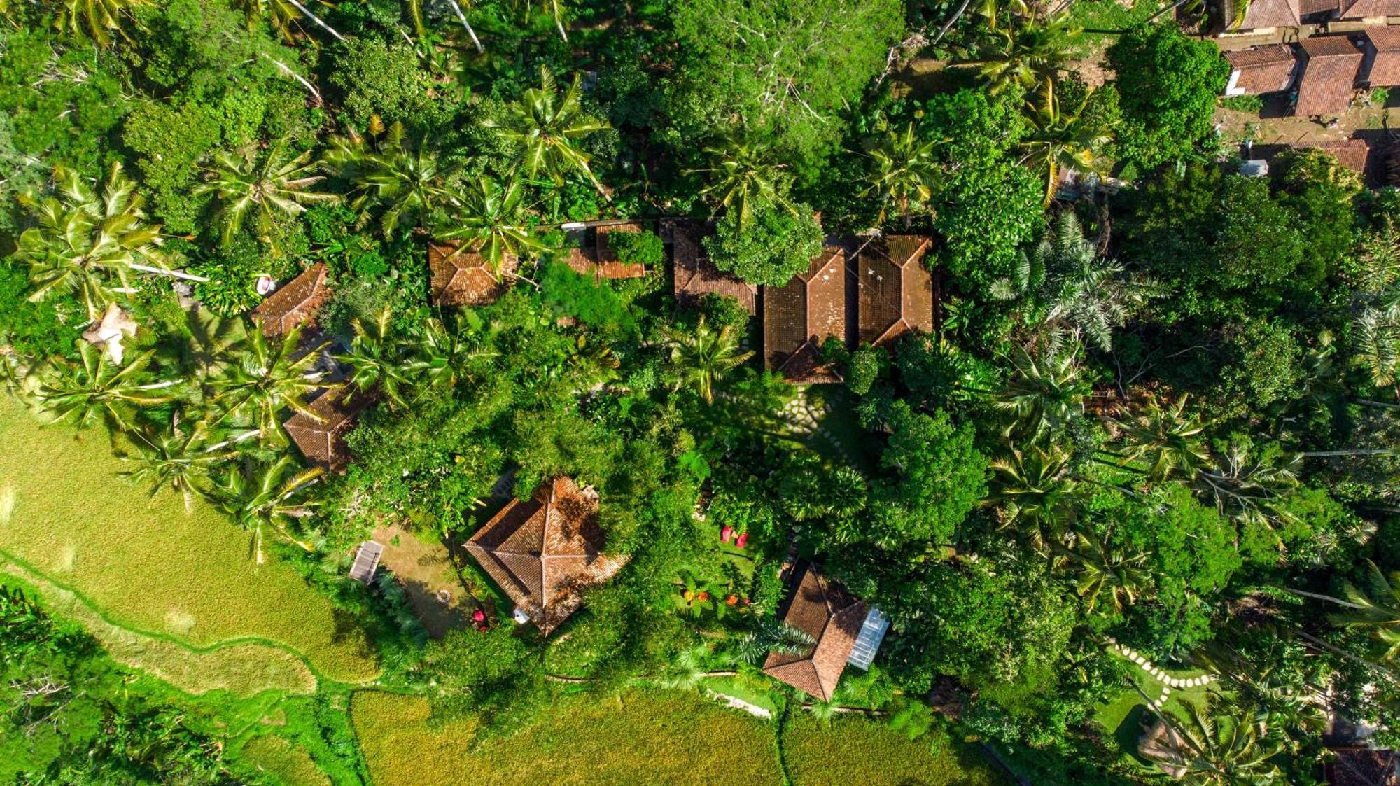 Bed and Breakfast Dewi Tara Haven Ґіаньяр Екстер'єр фото