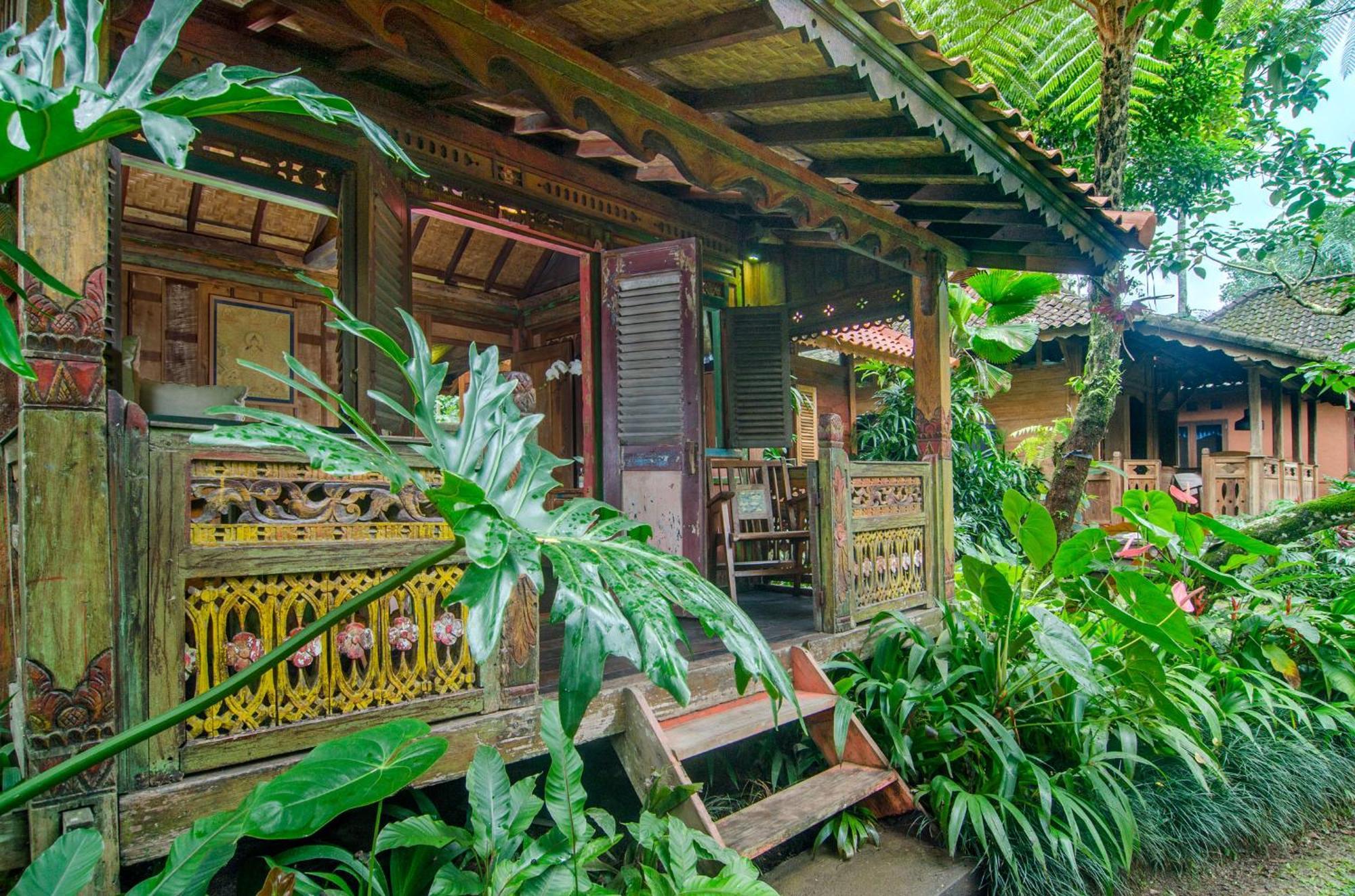 Bed and Breakfast Dewi Tara Haven Ґіаньяр Номер фото