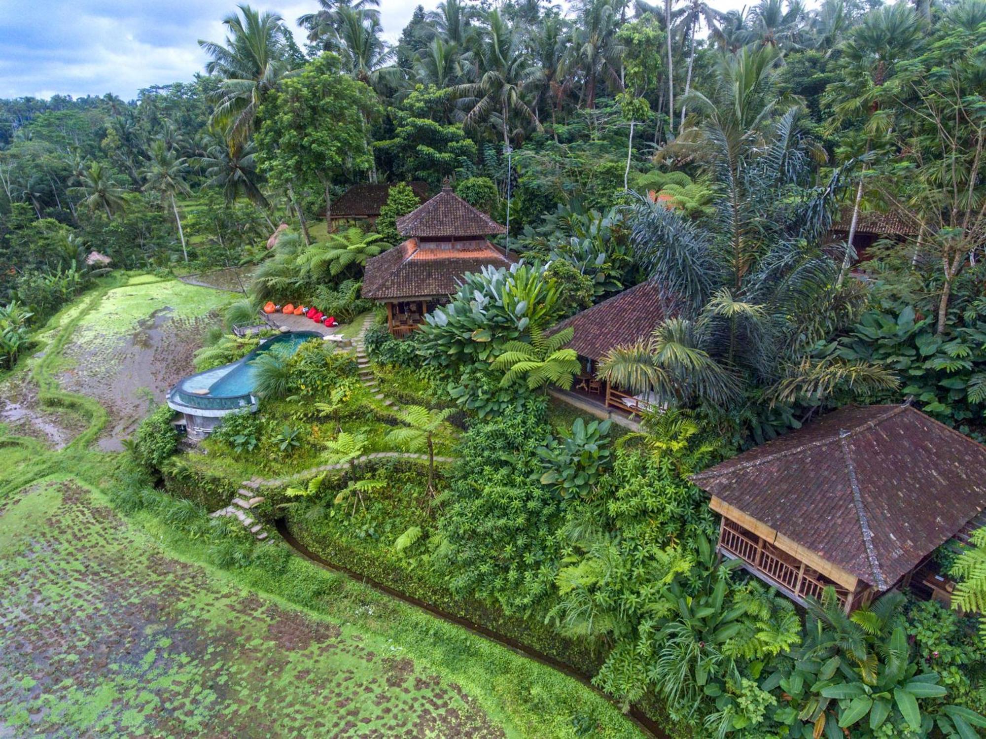 Bed and Breakfast Dewi Tara Haven Ґіаньяр Номер фото