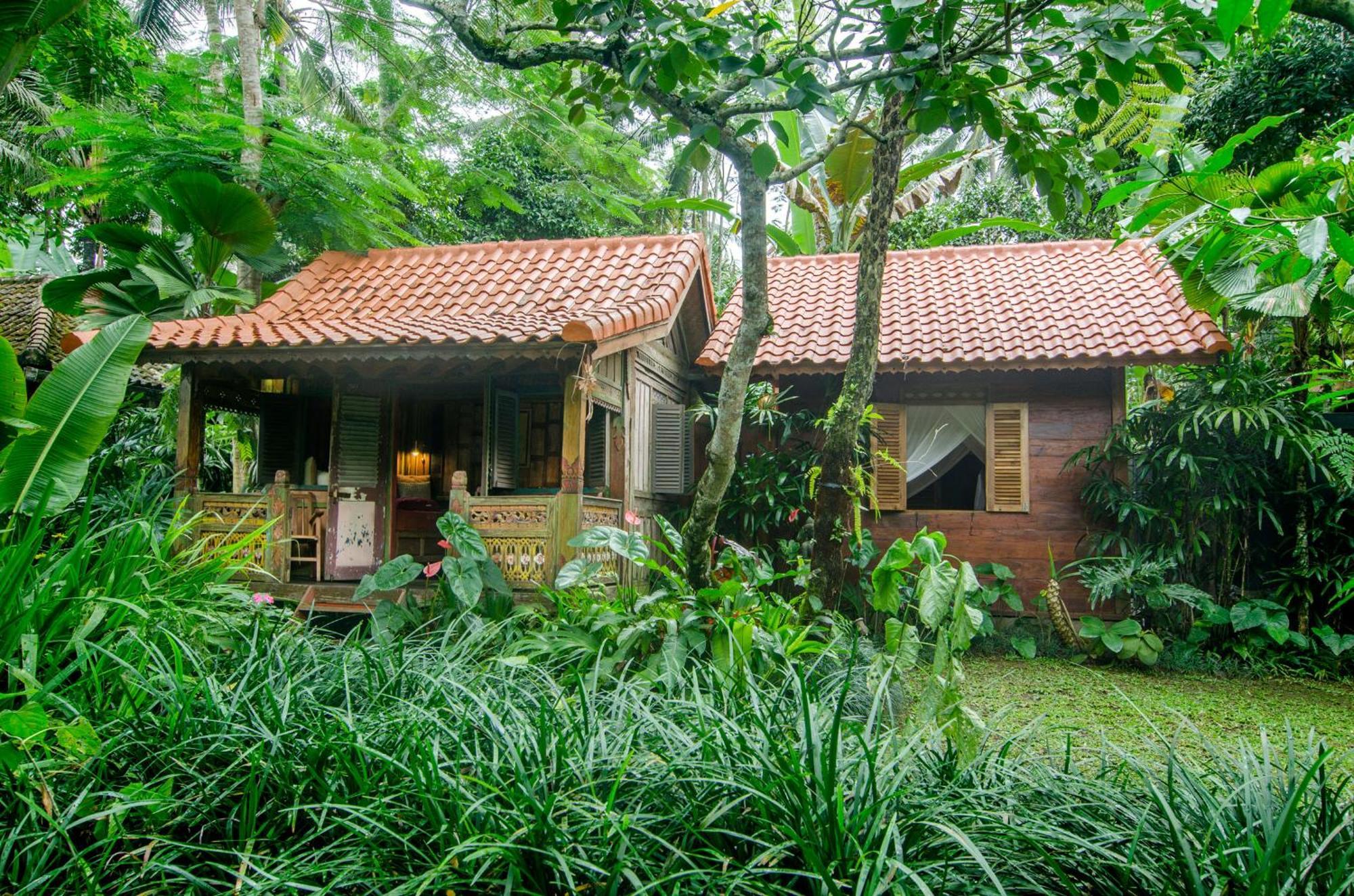 Bed and Breakfast Dewi Tara Haven Ґіаньяр Номер фото
